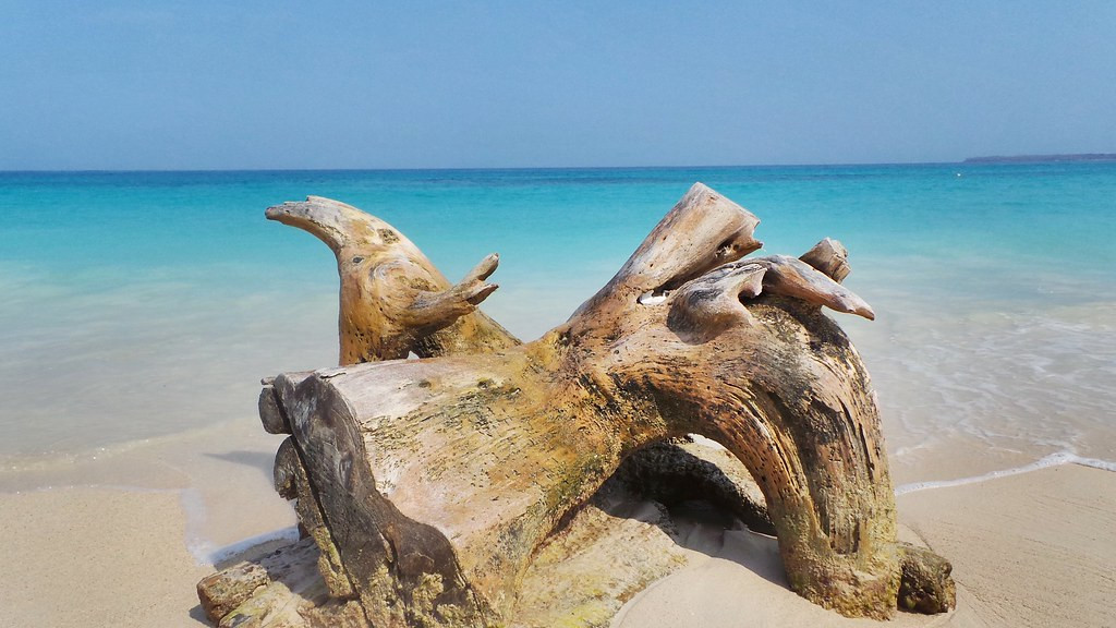 HK4/PY8WW Playa Blanca