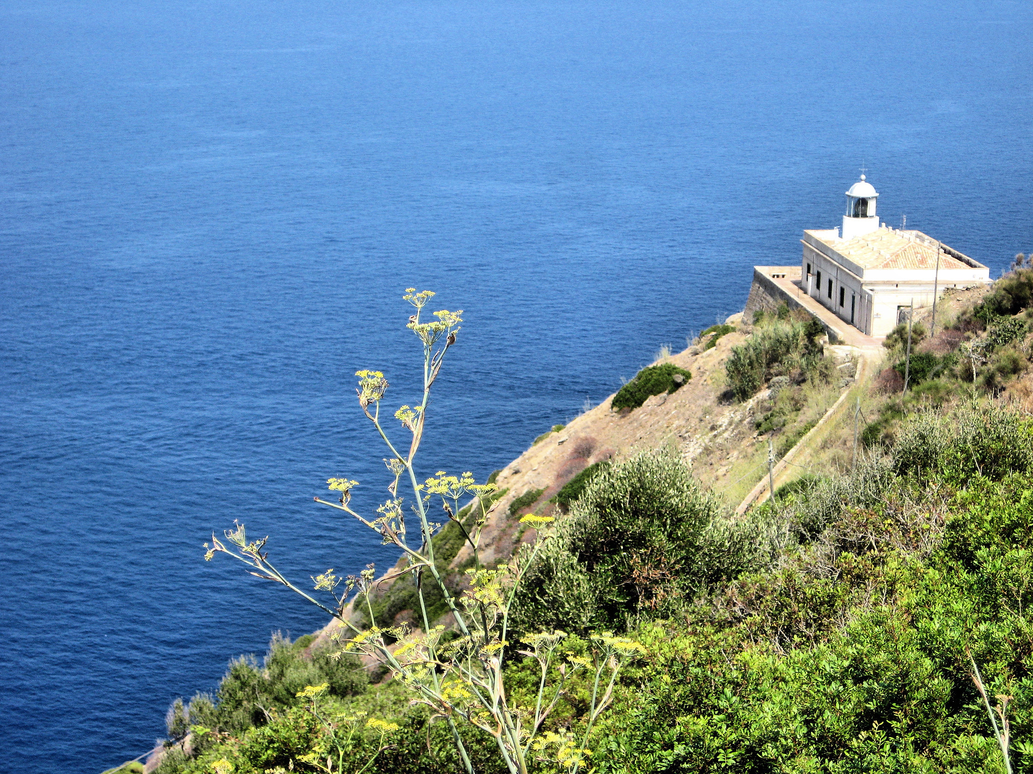 IE9/DJ4EL Ustica Island