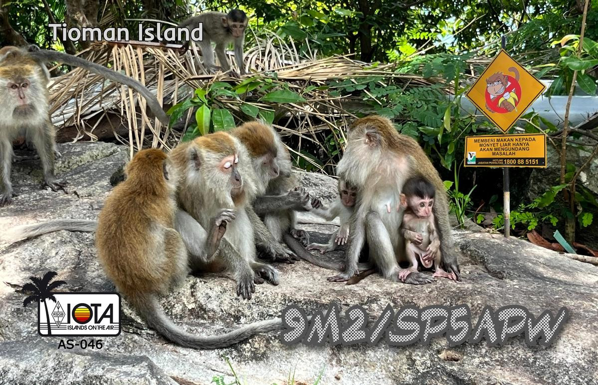 9M2/SP5APW Tioman Island QSL Card