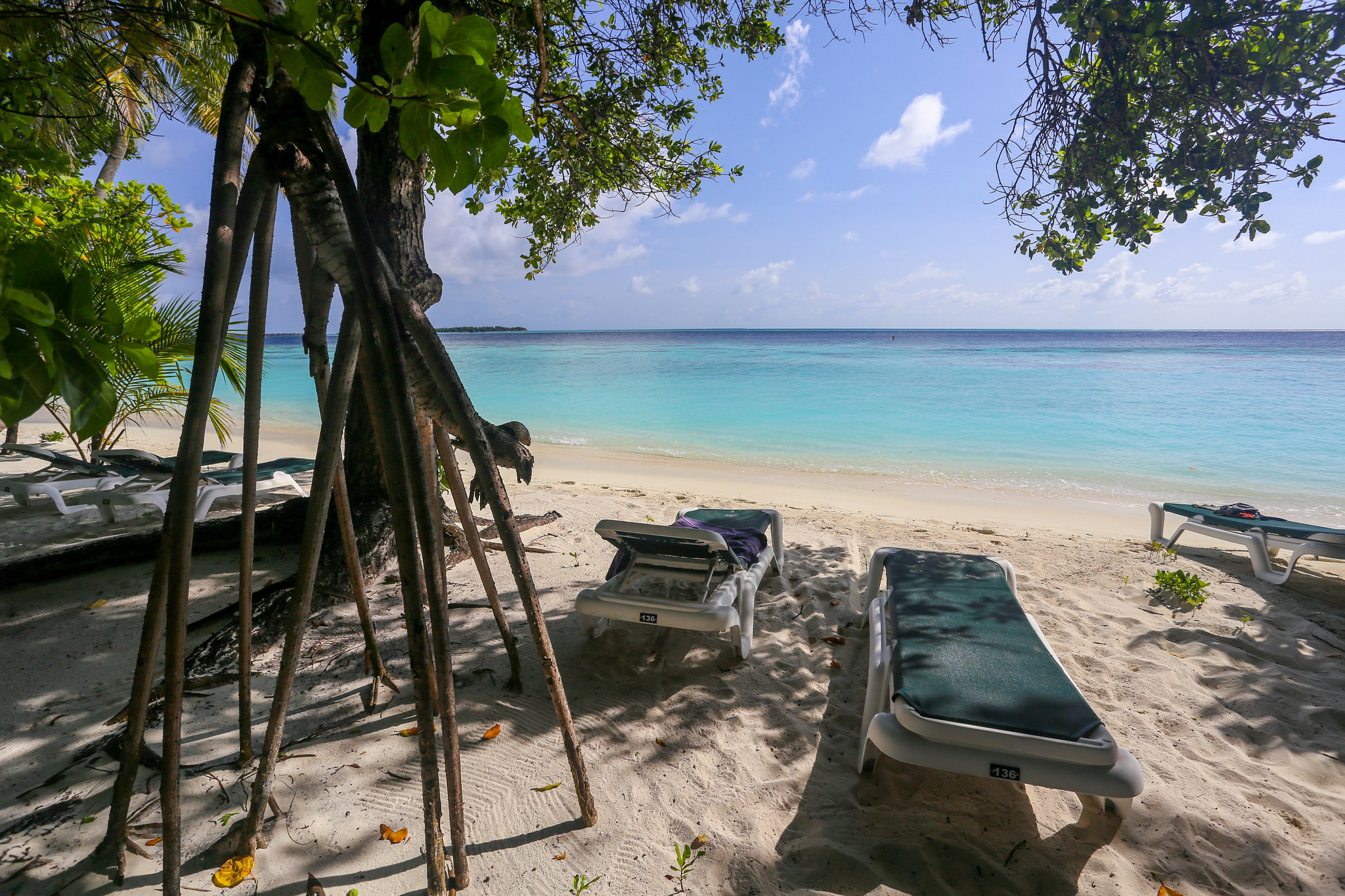 8Q7ZW Maldive Islands 8Q7ZW Maldive Islands