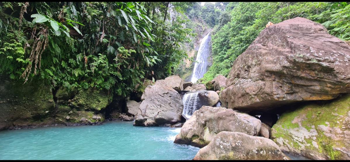 J79C Dominica Island J79C Dominica Island