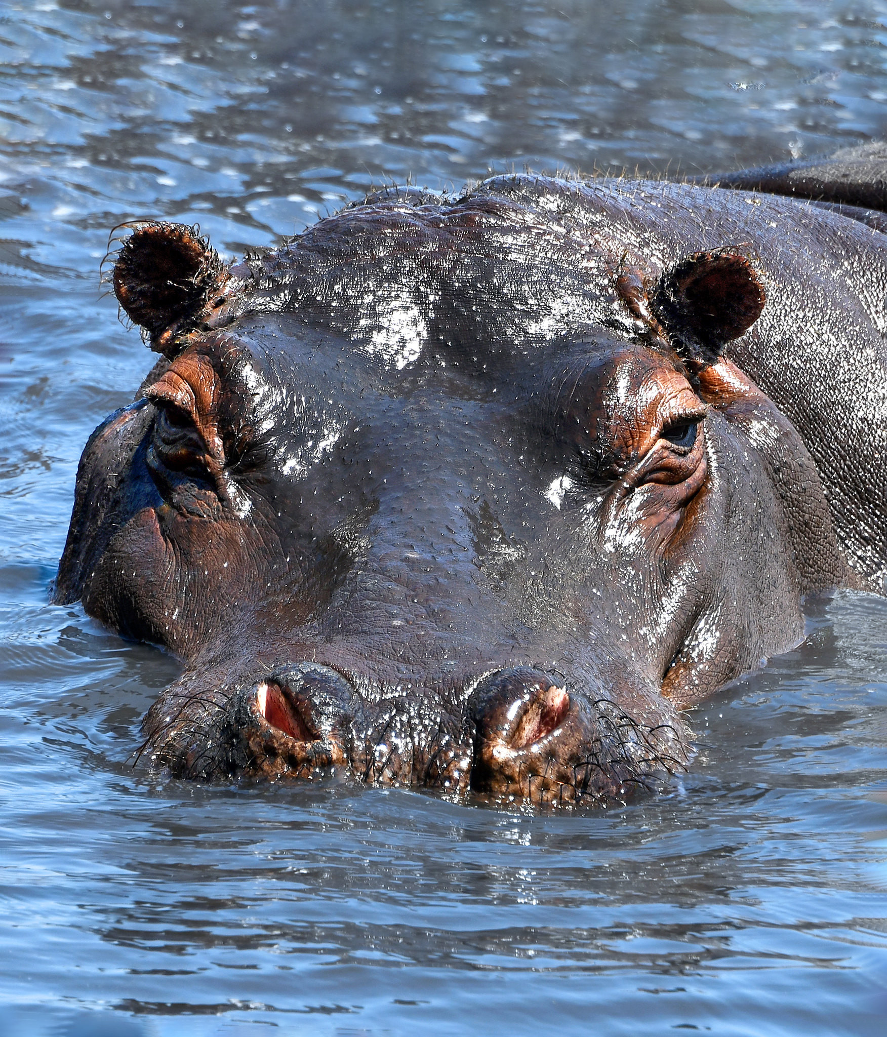 A25VJ Botswana A25VJ Botswana