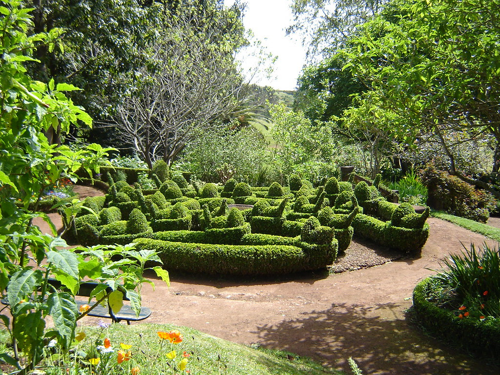 CT9/DO8ZX CT9/DJ9KM Madeira CT9/DO8ZX CT9/DJ9KM Madeira