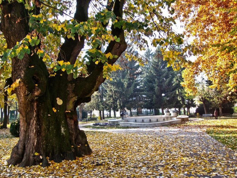 9A0BB Autumn in park, Petrinja, Croatia.