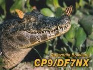 CP9/DF7NX  QSL