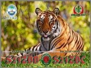 S21ZBB S21ZBC  QSL