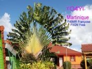 TO4YL Martinique Island