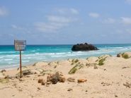 D44KS Boa Vista Island Cabo Verde