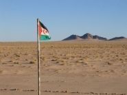 S0WP S0WP/M Sahrawi Arab Democratic Republic