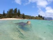 VK9APX Lord Howe Island