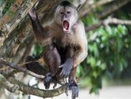 8R1WA ������