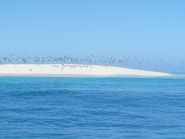 FH/UR9IDX ������ �������