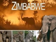 Z21BB Zimbabwe