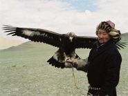 JV1A Mongolia