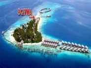 8Q7NA ������ ���� �����