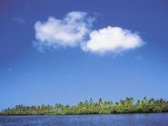 ZW7R ������ ��������