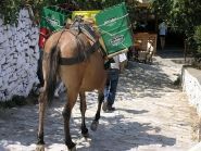 ������ ��������� SV8/PA3DEU ������� ��������