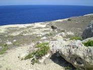 9H3TX Gozo Island 2010