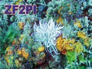 ZF2PI Cayman Islands