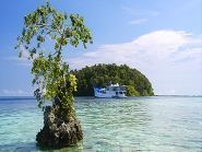 H44DX Solomon Islands