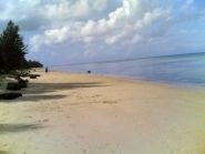 ������ ������� DZ1P