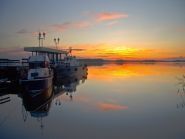 ������ ���������