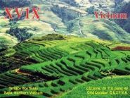 XV1X Vietnam