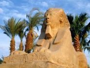SU55J Egypt