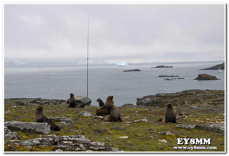 Штырь на 80 метров VP8ORK Штырь на 80 метров VP8ORK