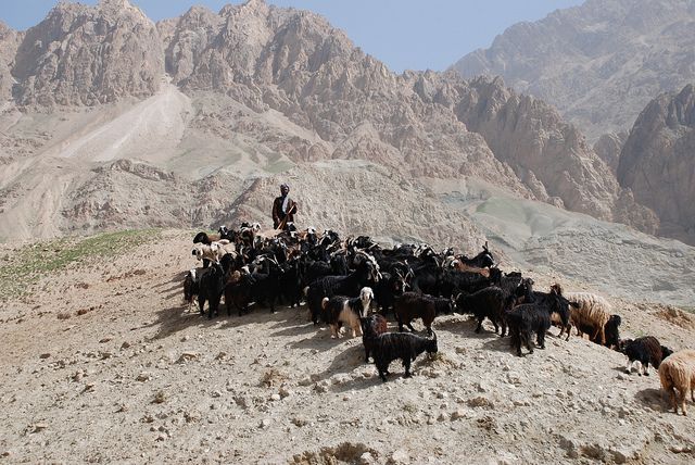 Afghanistan T6/ZS5ADU DX News Afghanistan T6/ZS5ADU DX News