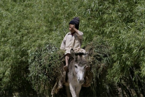 Афганистан T6FR DX Новости Афганистан T6FR DX Новости