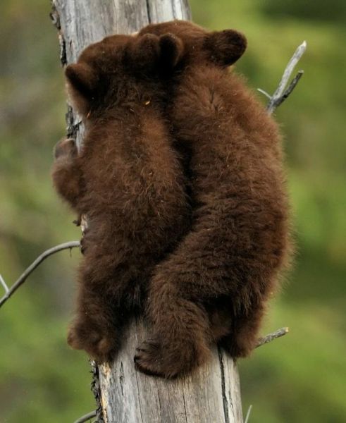 Alaska KL7/ON7HJA Tourist Attractions Alaska KL7/ON7HJA Tourist Attractions