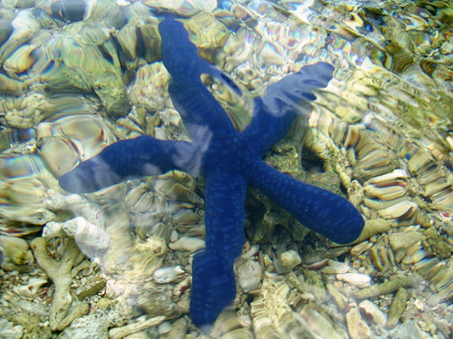 American Samoa AI5P/KH8 American Samoa AI5P/KH8