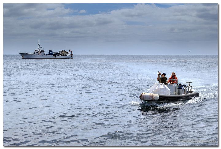 Остров Амстердам FT5ZM Высадка EY8MM Остров Амстердам FT5ZM Высадка EY8MM