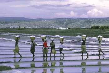 Angola D2AK Angola D2AK