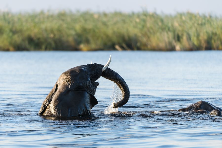 Ангола D2/HB9EFK  Ангола D2/HB9EFK