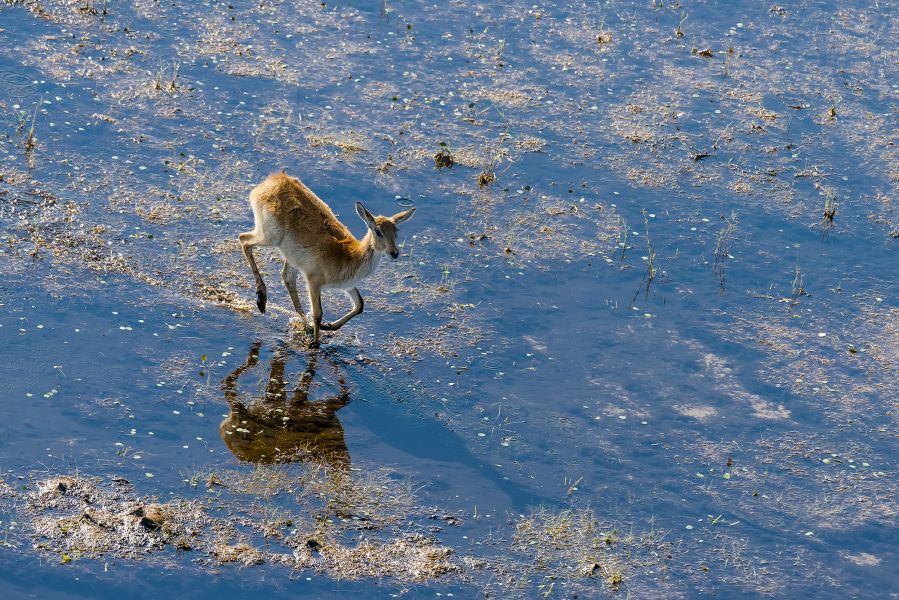 Ангола D2/HB9EFK Туристические достопримечательности Ангола D2/HB9EFK Туристические достопримечательности