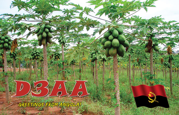 Angola D3AA 20m QSL Angola D3AA 20m QSL