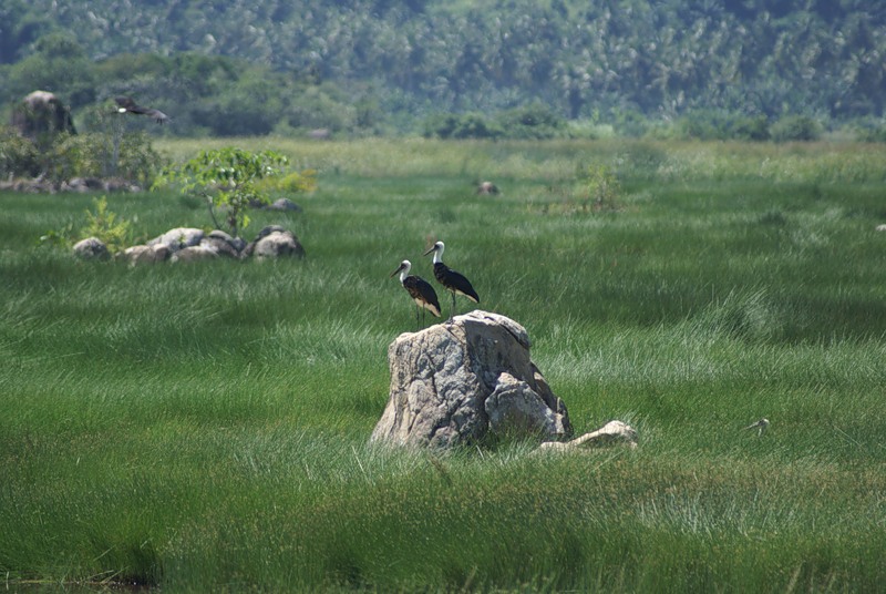 Angola D3AA DX News Angola D3AA DX News