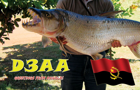 Angola D3AA QSL Angola D3AA QSL