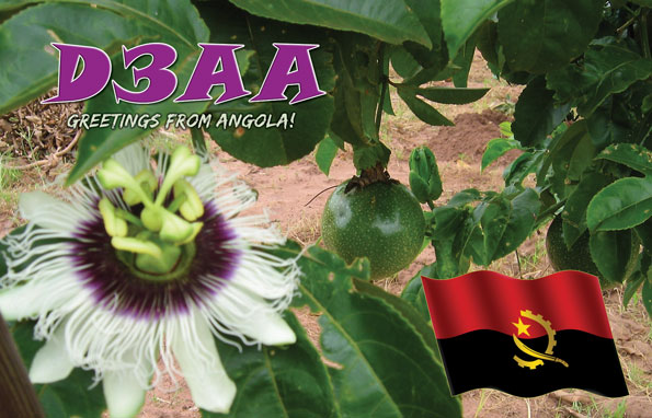 Angola D3AA QSL 2 Angola D3AA QSL 2