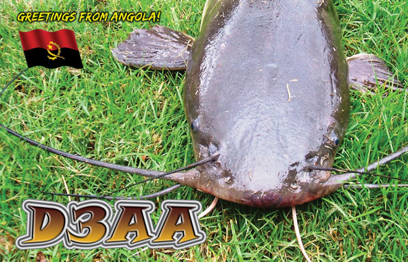Angola D3AA QSL 80m Angola D3AA QSL 80m