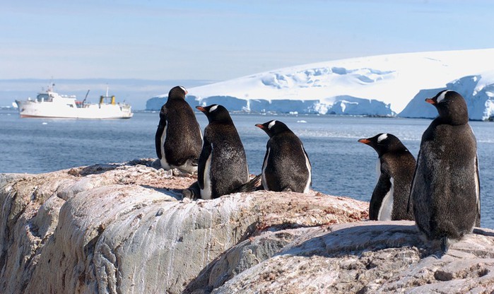 Antarctica ZS7V Antarctica ZS7V