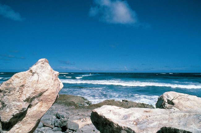 Antigua Island V26BM  Antigua Island V26BM