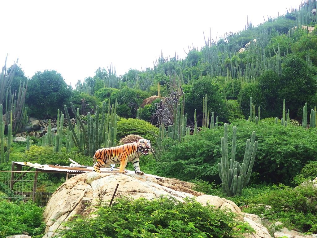 Aruba P4/VE7XDT DX News