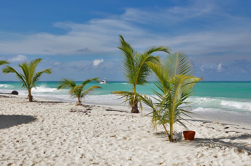 Aruba P40FM P40PB DX News