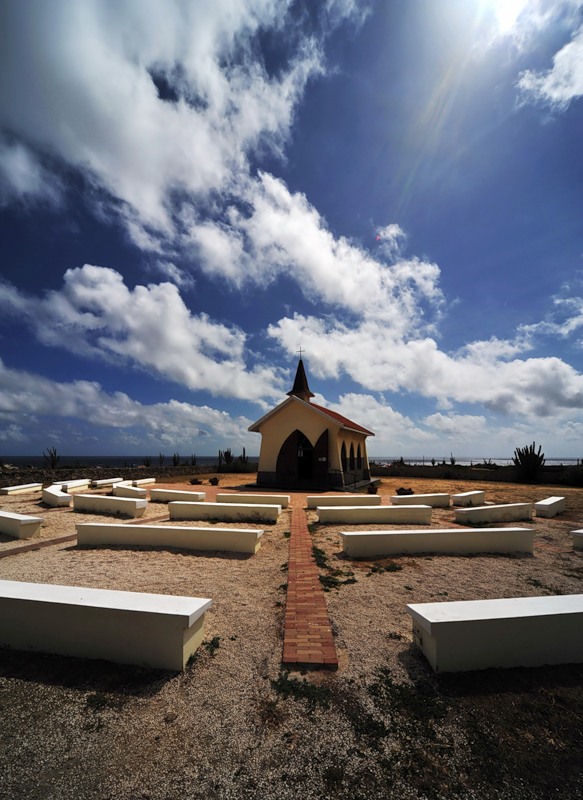 Аруба P49T DX Новости Аруба P49T DX Новости