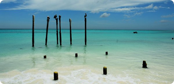 Aruba P49Y 2012 Aruba P49Y 2012