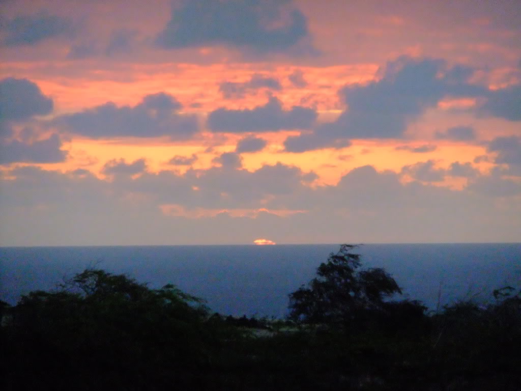 Ascension Island ZD8D DX News Ascension Island ZD8D DX News