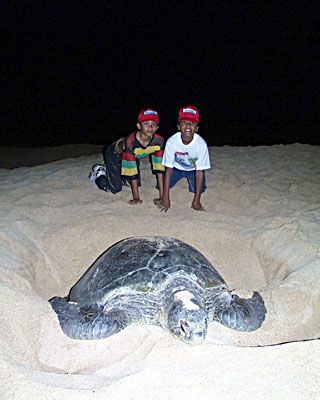 Остров Вознесения Остров Вознесения